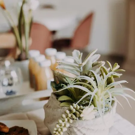 Le Colline Bed & Breakfast